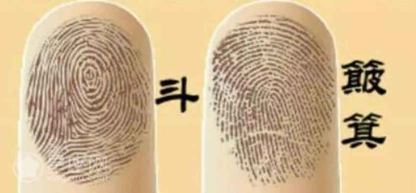 手相:手指上的斗和簸箕两种指纹你属于哪种?
