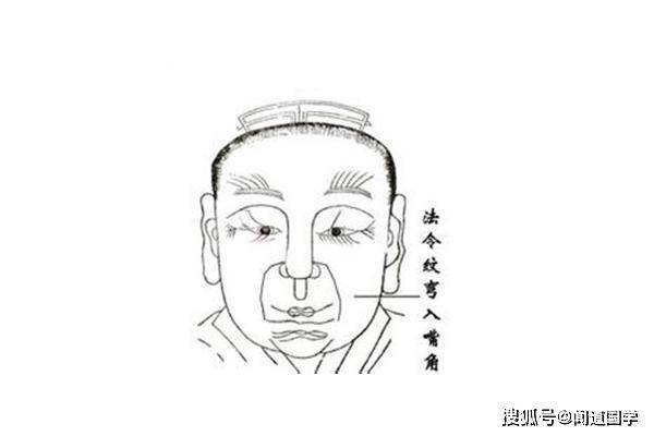 闻道国学:腾蛇入口必饿死_手机搜狐网