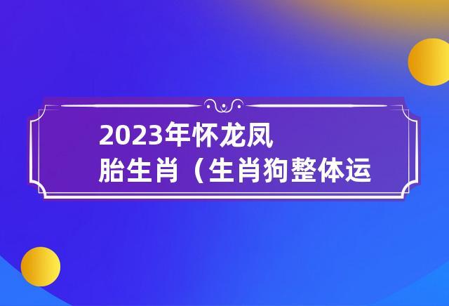 2023年怀龙凤胎生肖(生肖狗整体运势会好转)