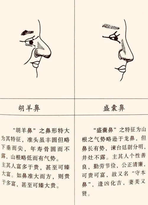 曾国藩看面相: 鼻为人生的缩影 什么样的鼻子富贵命