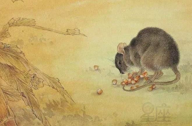 生肖属鼠的哪个时辰出生最好?什么是生肖鼠?