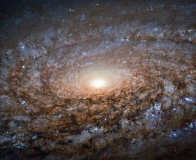 旋涡星系ngc 3521 位于距离我们约4000万光年的狮子座 哈勃太空望远镜