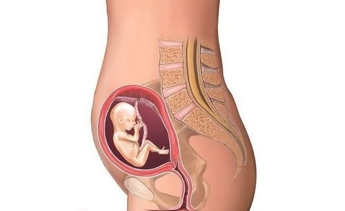 怀孕1-9个月孕妇肚子变化图对照一下看宝宝发育正常吗!