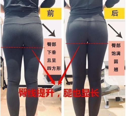 刘太阳体重130臀围103获封臀神详解臀部训练的重要性
