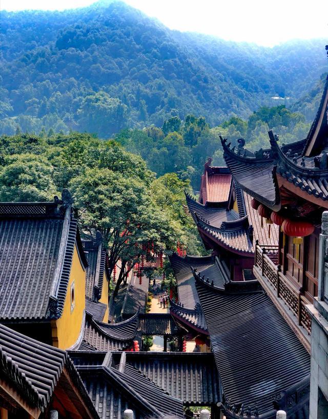 每日一景|杭州最网红的寺庙——法喜寺