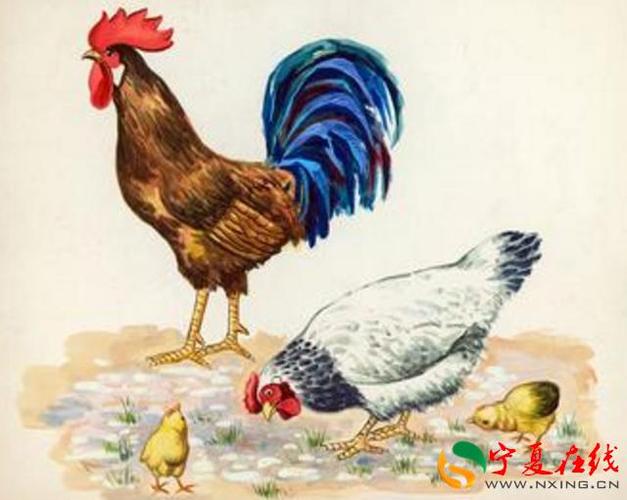 头条 星座 > 正文    农历1月至4月是夏至金财之季节对于属鸡的朋友