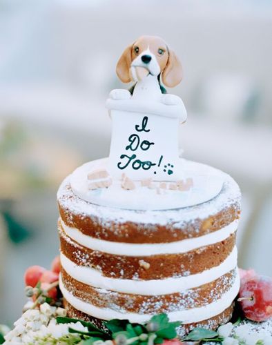 狗年到!看爱狗夫妇的狗狗主题婚礼蛋糕(组图)