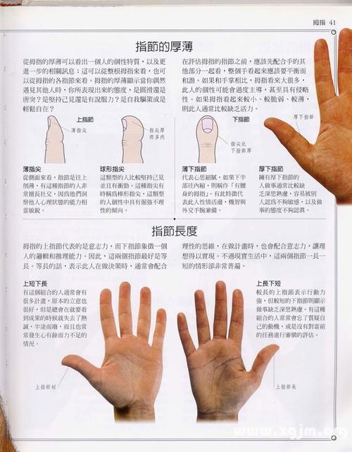 《手相学习百科》:拇指