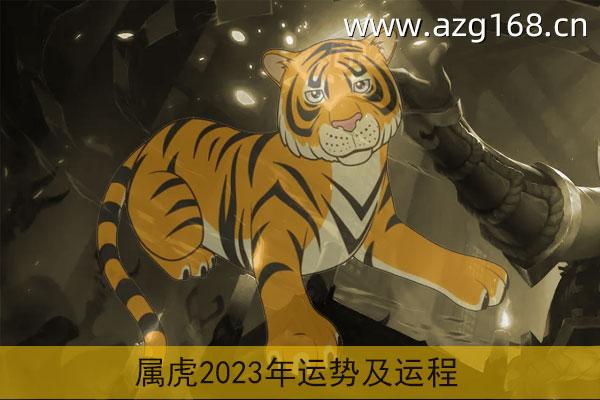 属虎2023年运势及运程详解