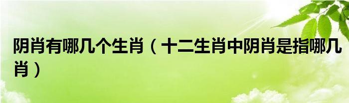 阴肖有哪几个生肖十二生肖中阴肖是指哪几肖