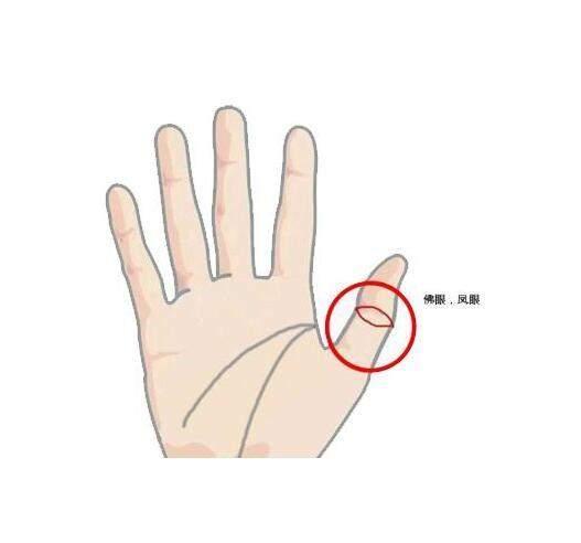 偏财纹指的是大拇指的第一和第二个指节之间出现的横纹纵纹或格子纹