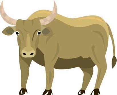2021年牛年本命年生肖牛运势如何生肖牛上半年运势分析
