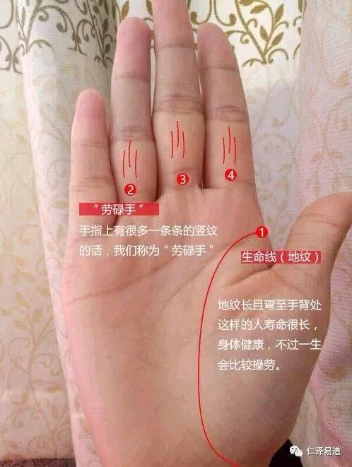 手相算命从手指看健康如何看手相财运