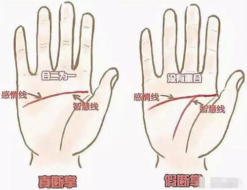 所谓的断掌是智慧线和感情线相交从手掌的一端至另一端成一直线横越