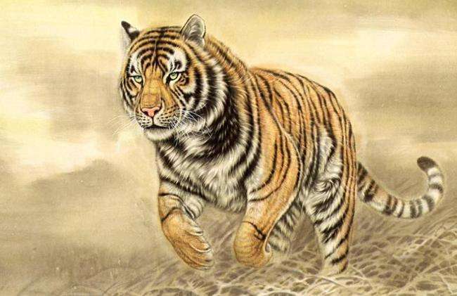 属虎的哪年是本命年属虎本命年是哪一年虎的本命年是2022年2034年