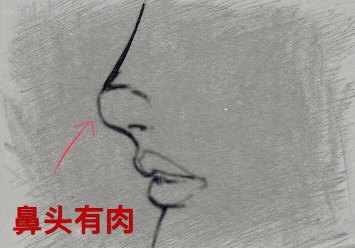 鼻子看相:女人鼻头有肉面相图解   第一星座网