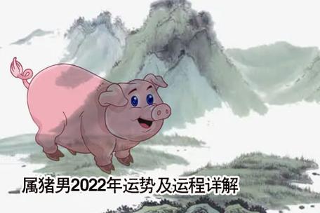 属猪男2022年运势及运程详解2022年属猪人的全年运势男性