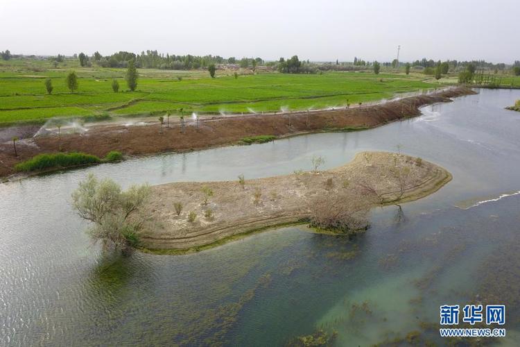 这是6月10日在临泽县拍摄的水系连通项目中打通的九眼泉河水系(无人