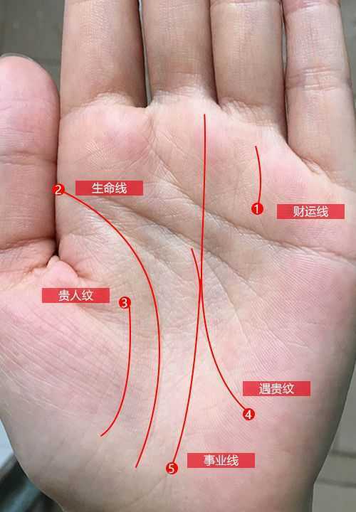 如何看手相算命图解生命线的含义易星从手相学来说手上有两条财运线