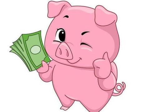 4属猪人2021年运势财运在2021年生肖猪的财运表现不错这主要是因为