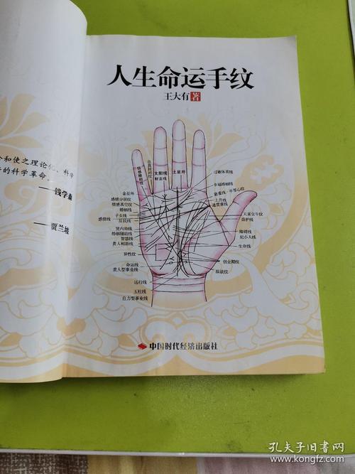 王大有手经(第3卷):人生命运手纹
