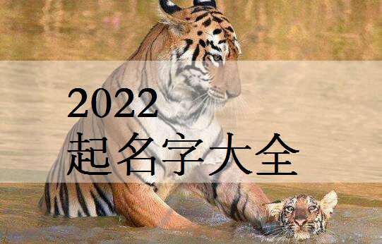 2022年虎宝宝的起名字大全颜姓男孩