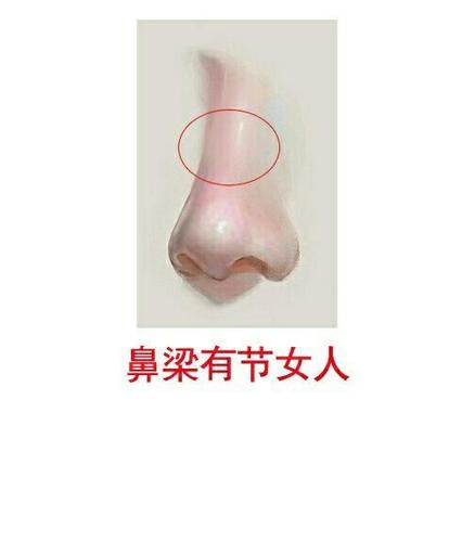 鼻子有节:鼻梁上有一块竹节般凸起的部位侧面看有一凸点.