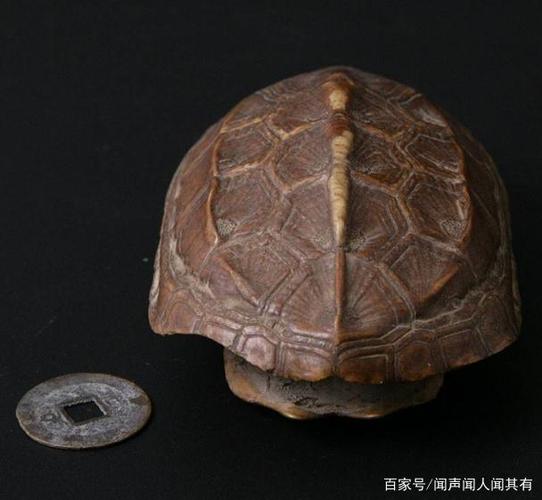 古代龟壳占卜讲座 占卜用的龟壳有什么讲究