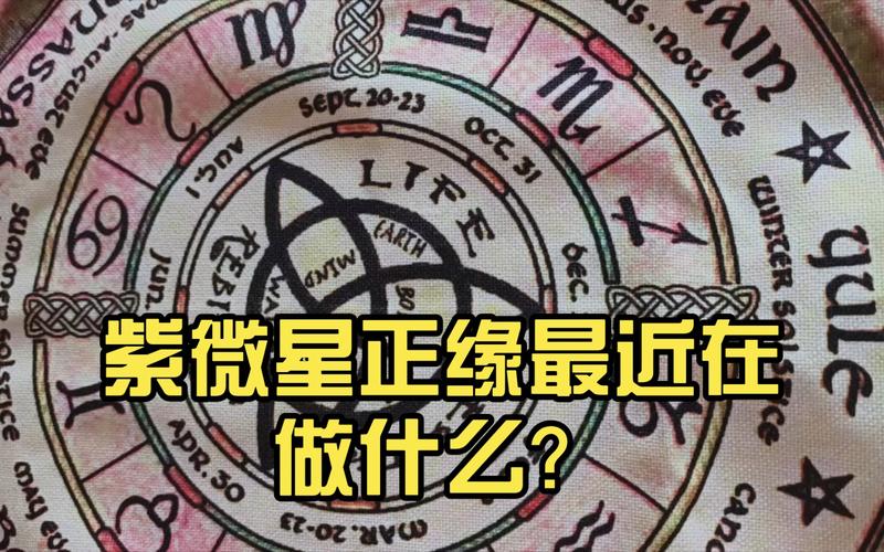 紫微星正缘最近在做什么?