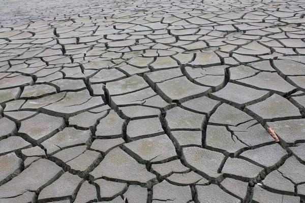 最强春旱多地水库蓄水历年最低近期没有强降水