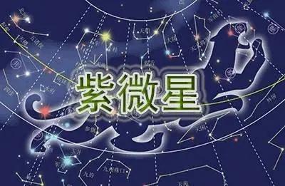 紫微斗数基础紫微星简述