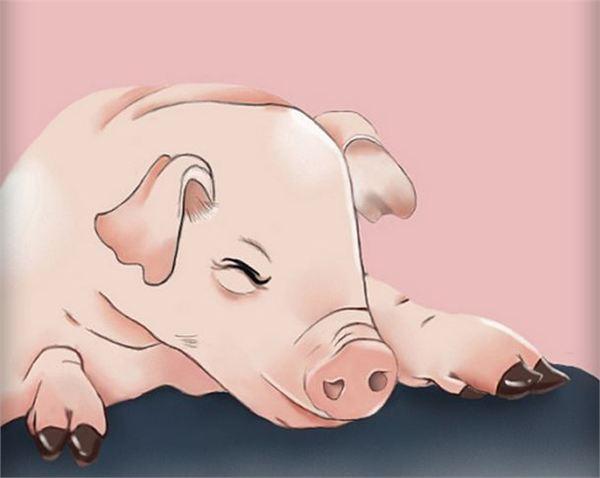 2017年属猪的几月出生命最好猪年宝宝几月出生好