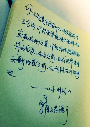 《小时代》特辑@13 经典语录 成长励志 情感句子 手写文字 lin的手写