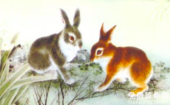 生肖兔相关的传说故事