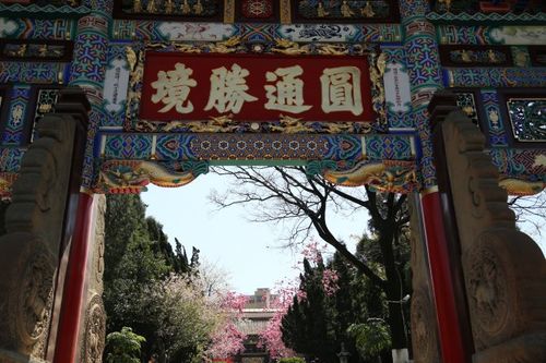 从翠湖公园步行道圆通禅寺听说寺庙里的樱花也开的不错.