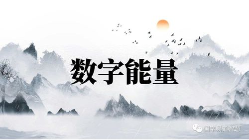 数字能量:号码中的