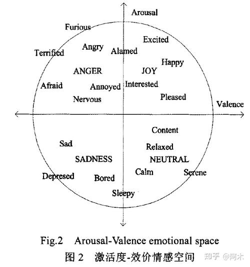 情感描述方式大致可分为离散和连续两种形式.