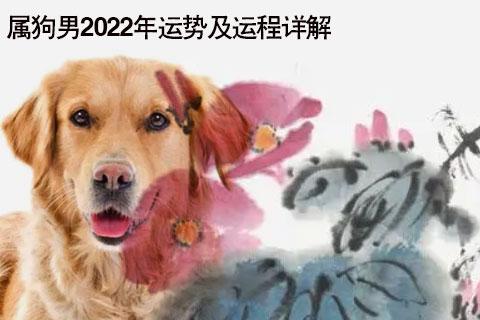 属狗男2022年运势及运程详解 2022年属狗人的全年运势男性_2022年生肖