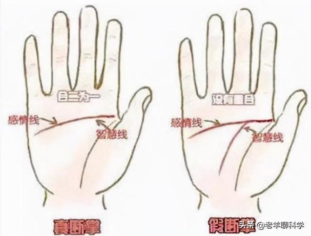 断掌是命理手相学中对手的掌纹的一种称呼叫做