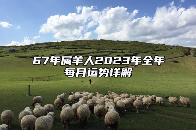 属羊人2023年全年每月运势详解  属羊人2023年农历正月运势  公历时间