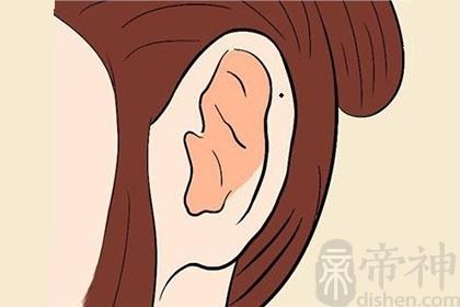 面相分析大耳朵的女人旺夫吗女人耳朵大代表什么意思?