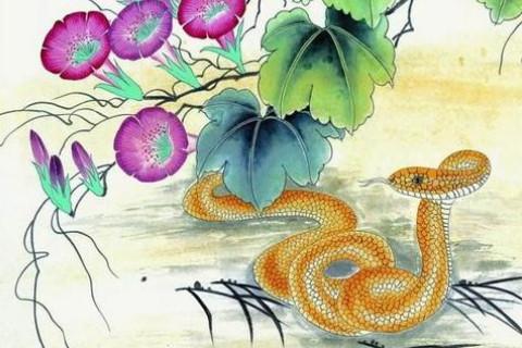 蛇人生于1月份的性格在农历一月份出生的属蛇人是不稀饭浮华的生活
