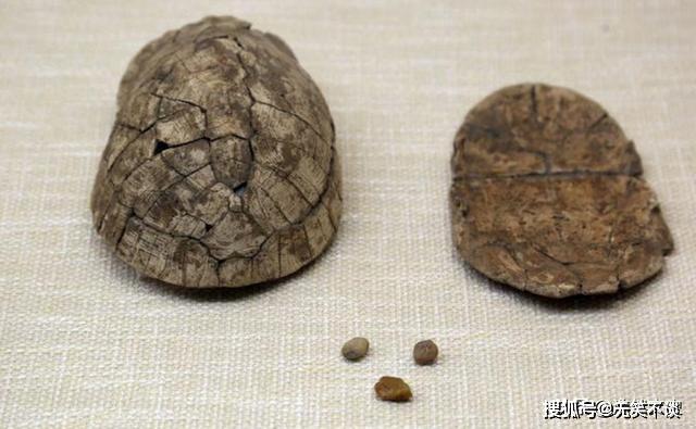 原创出土的龟甲可不仅是祭祀和占卜从考古与民族学正解龟甲器