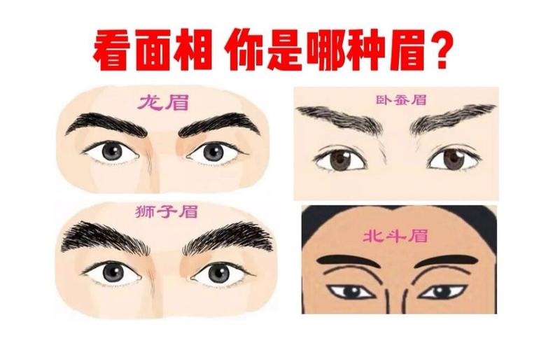 面相测试你的眉毛是哪种四种眉相富贵惊人哦