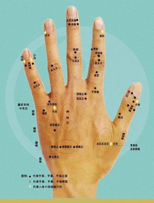 手上长痣面相图:手指有痣:在命相学中大拇指以及附近有痣代表父母亲是