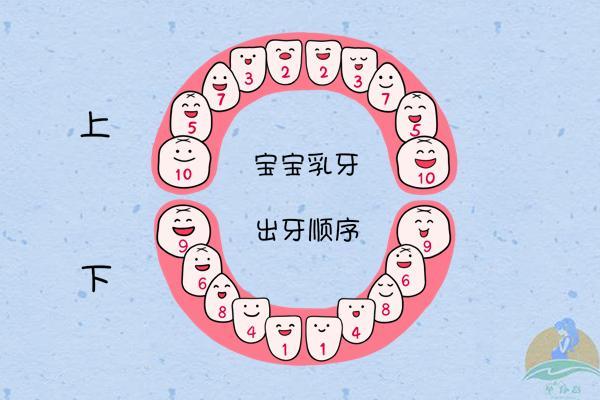 宝宝出牙期常见误区:第一颗乳牙何时萌出?乳牙龋齿的护理全攻略