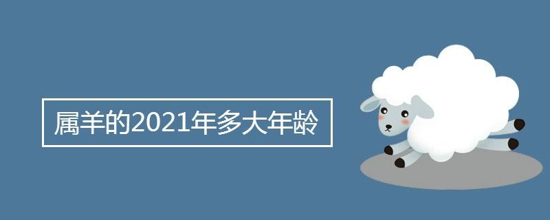 属羊的2021年多大年龄