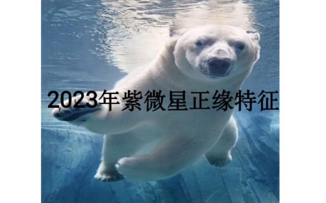 2023天降紫微星的正缘特征