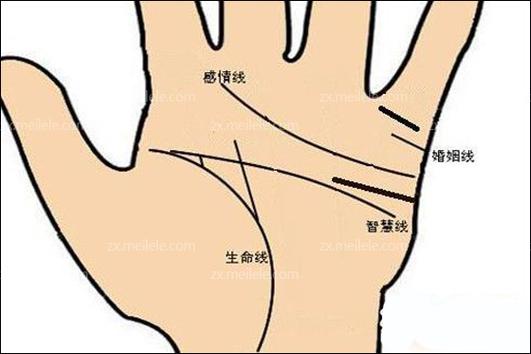 感情线首端是在手掌的小手指下端的侧面手相的看法从这里横向延伸到