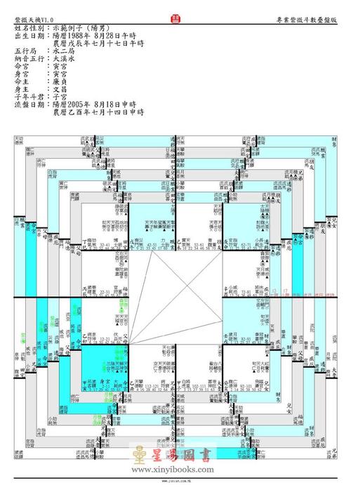 0 pc版-专业紫微斗数排盘软件